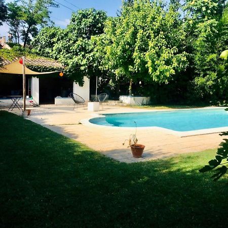 Studio Independant Terrasse Piscine Avignone Esterno foto